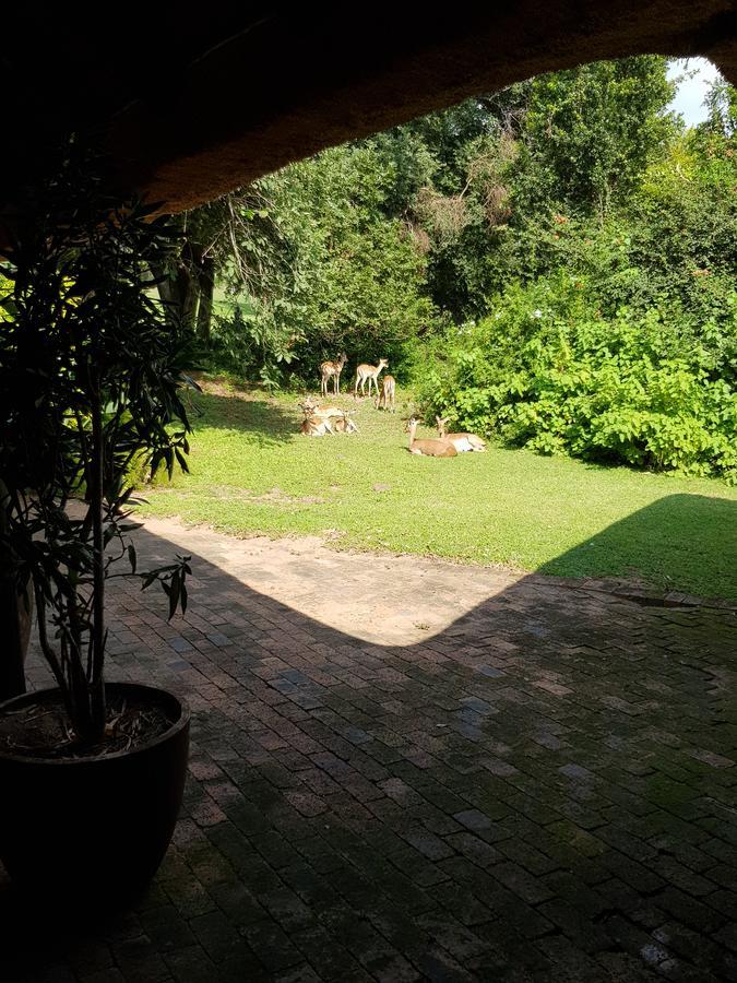 Kruger Park Lodge Unit No. 277 Hazyview Kültér fotó